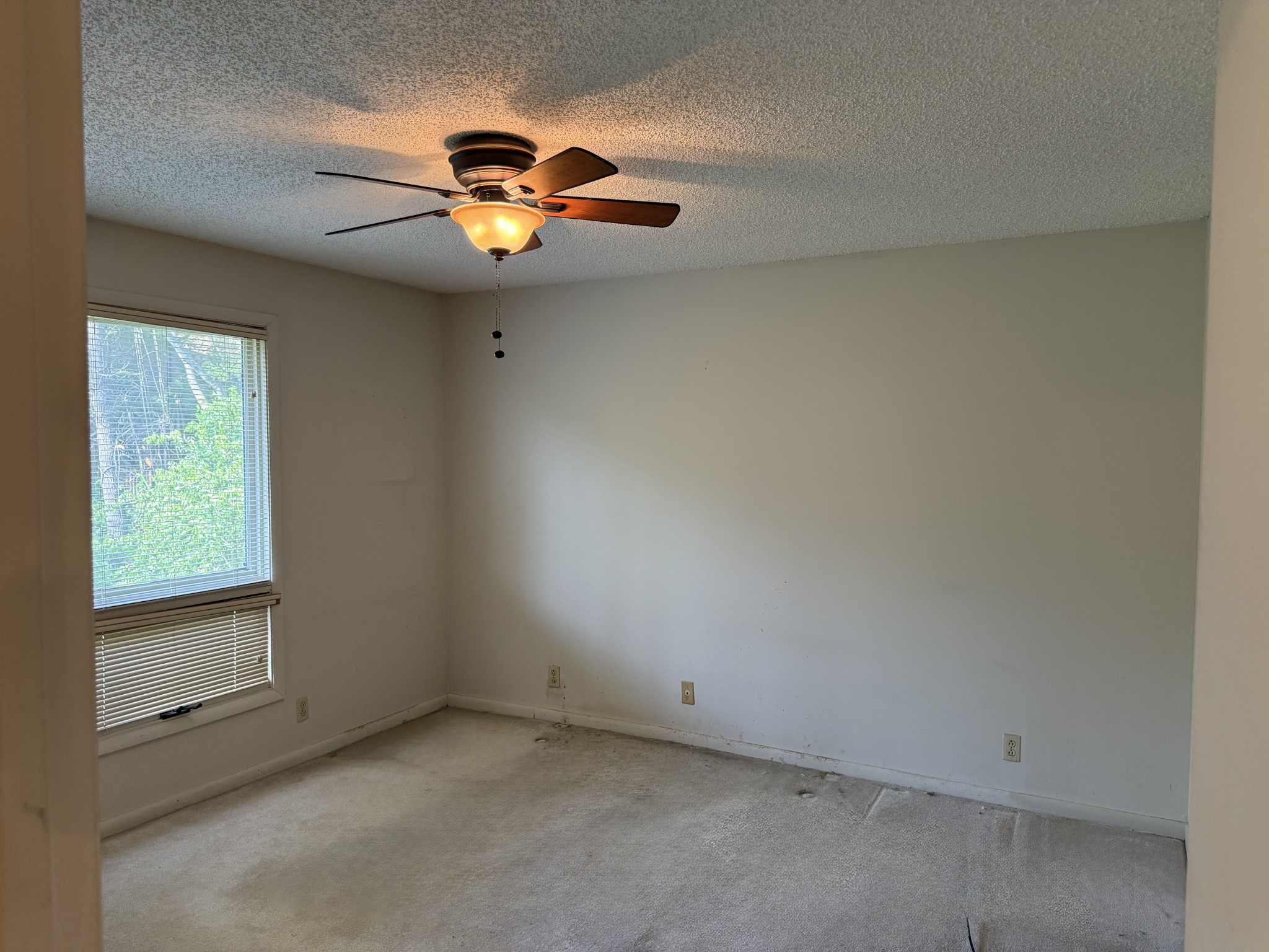 901 Holly Forest Nashville, TN 37221 - Photo 9 of 18 an empty room with a window