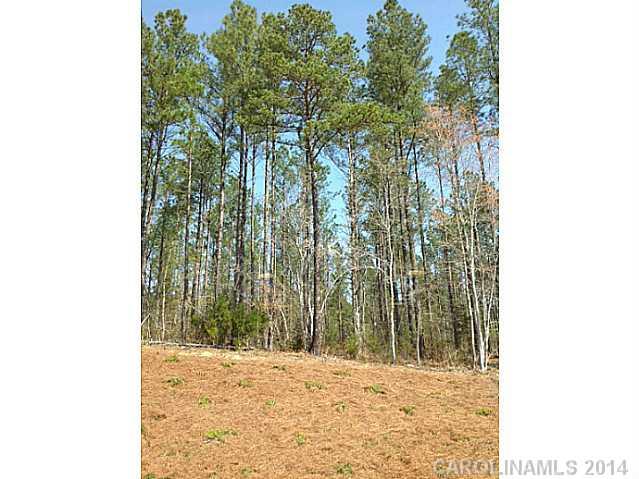 78070 Rillstone Drive, Unit 195 Lancaster, SC 29720 - Photo 10 of 15 Gallery Image 10