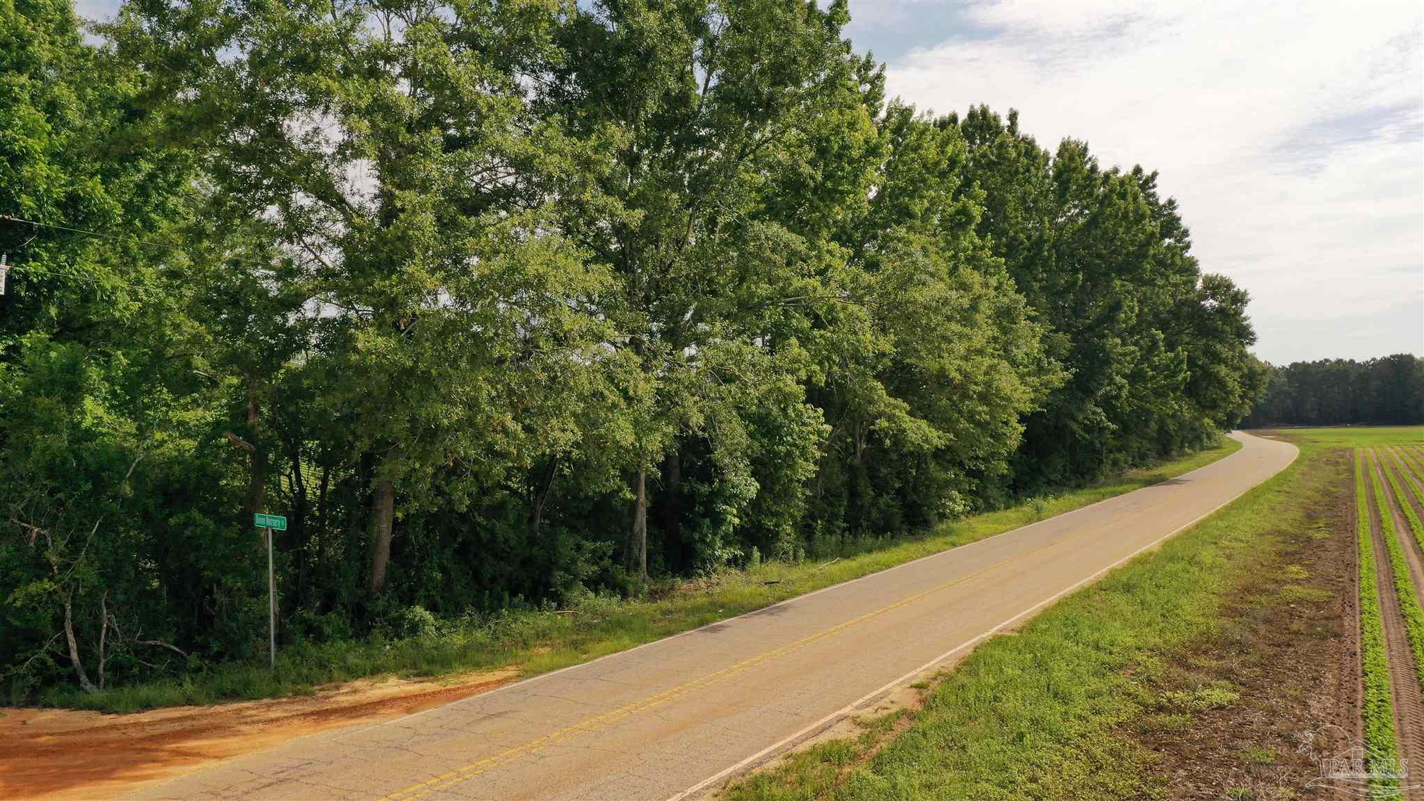 Lot 6 Travis Road Brewton, AL 36426 - Photo 1 of 6