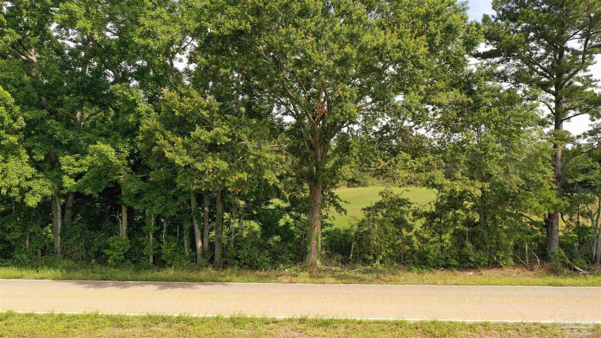 Lot 6 Travis Road Brewton, AL 36426 - Photo 2 of 6