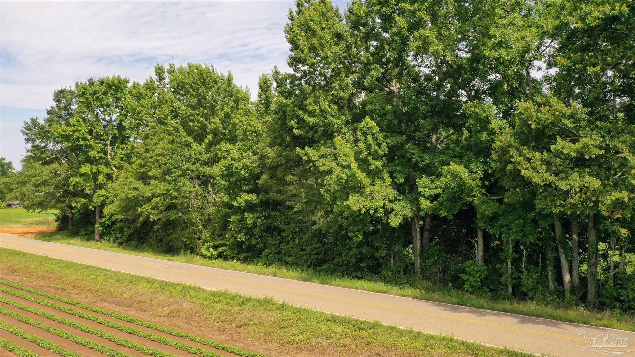 Lot 6 Travis Road Brewton, AL 36426 - Photo 3 of 6
