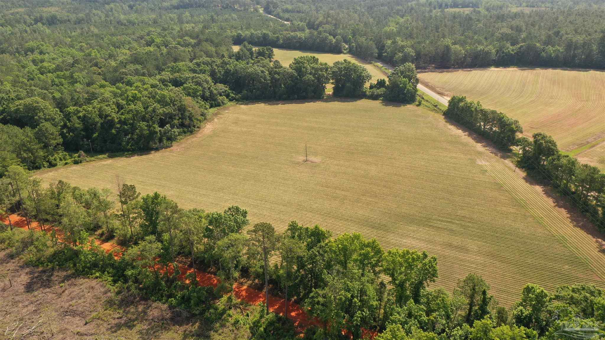 Lot 6 Travis Road Brewton, AL 36426 - Photo 4 of 6