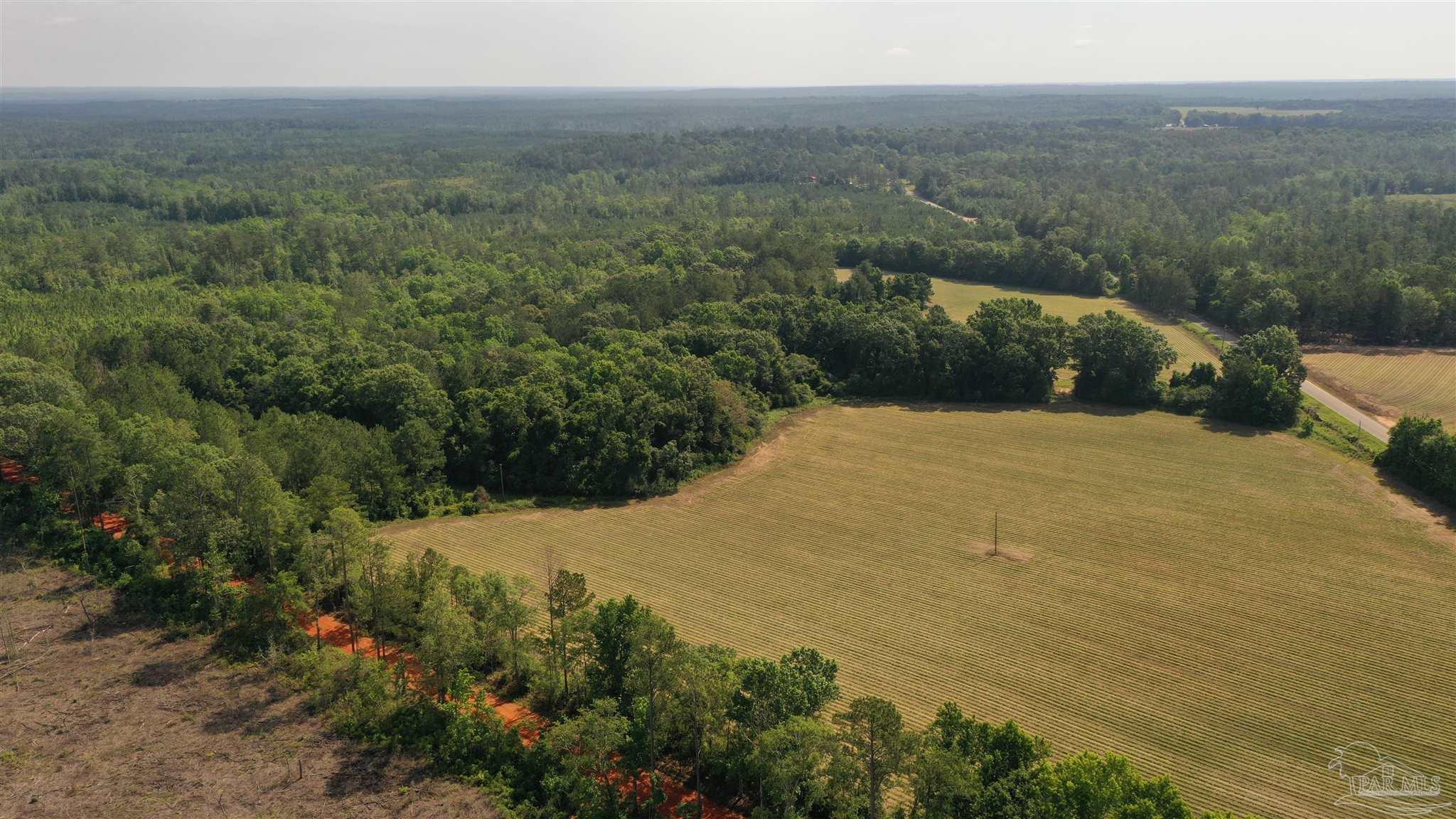 Lot 6 Travis Road Brewton, AL 36426 - Photo 5 of 6