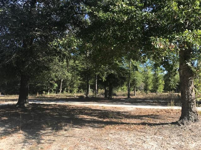 292 Martin Way Barnwell, SC 29812 - Photo 3 of 5