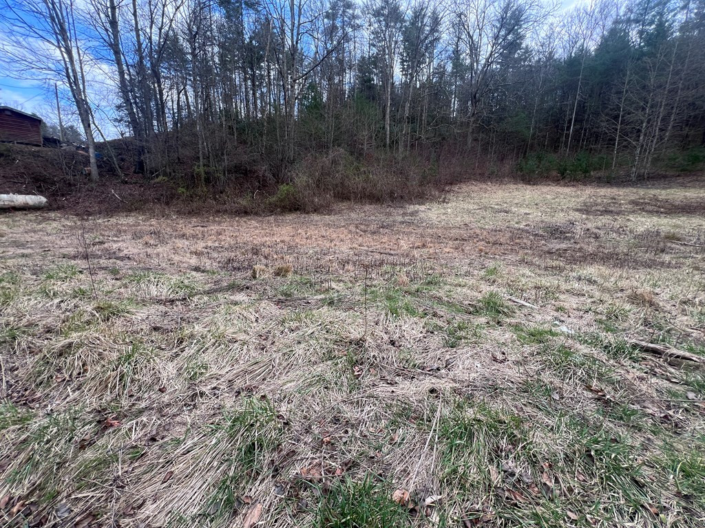 1-2 Graves Road Murphy, NC 28906 - Photo 4 of 12