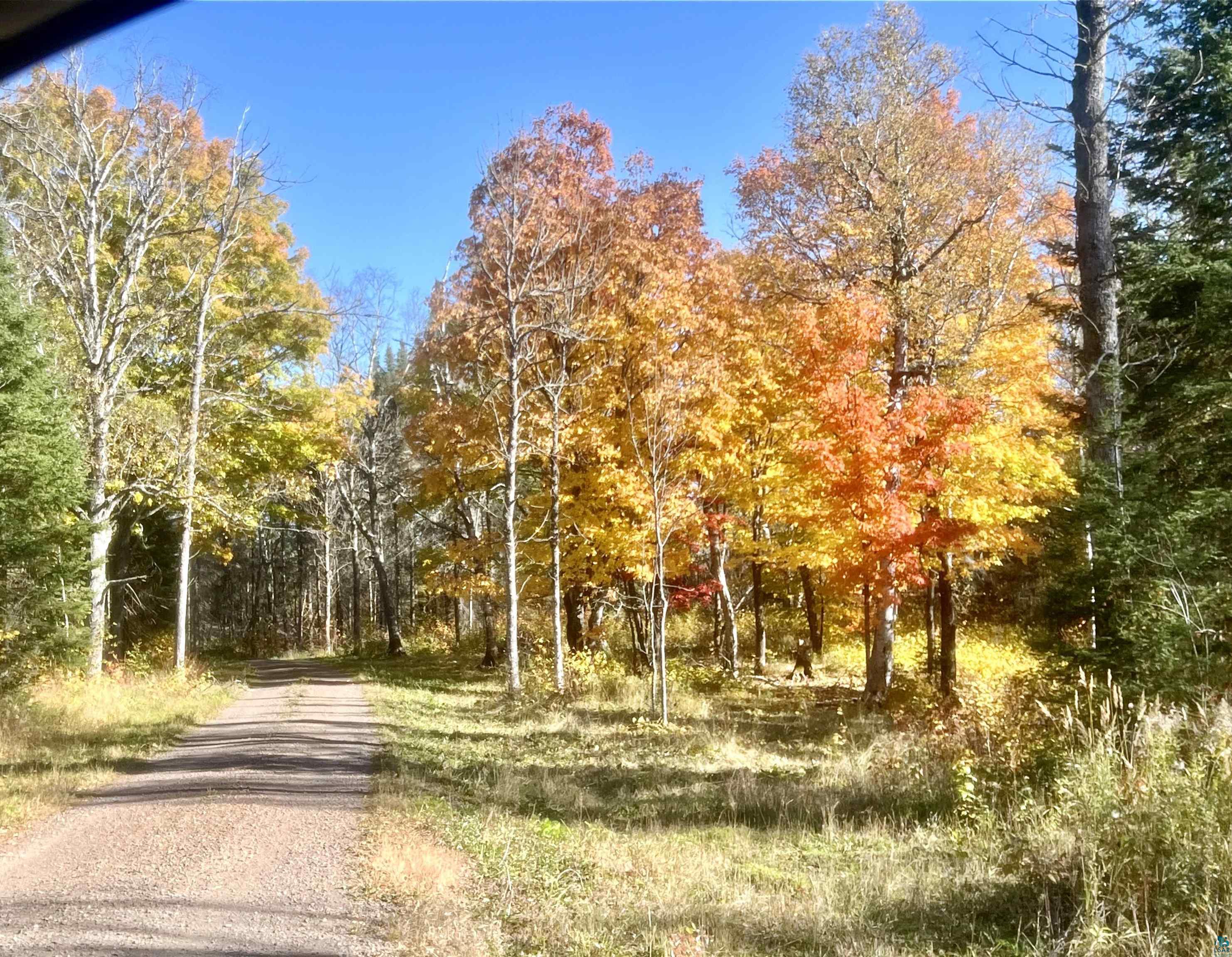 5274 Marble Lake Road Two Harbors, MN 55616 - Photo 71 of 79 Gravel pathway surrounded by mature trees displaying vibrant seasonal foliage