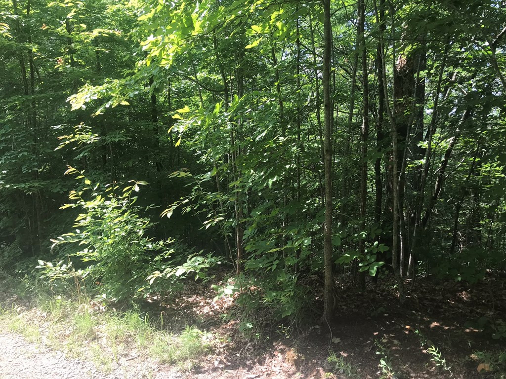 0 Rosecreek Road Murphy, NC 28906 - Photo 3 of 4