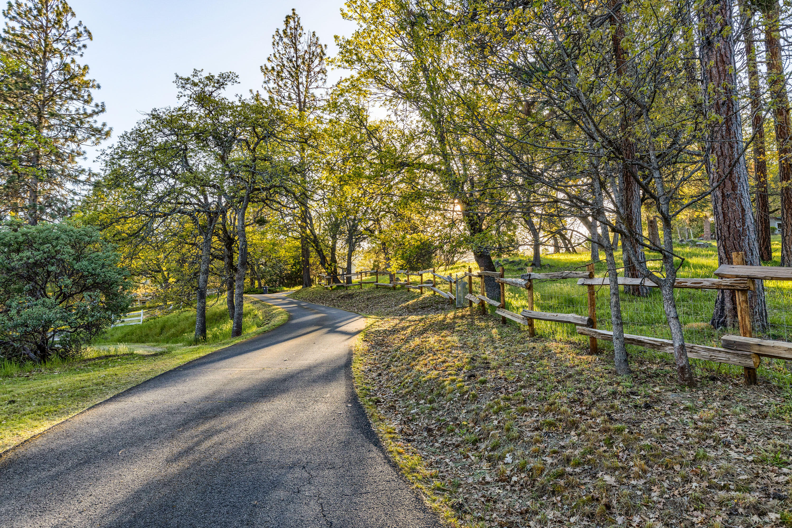 3333 Old Stage Road Central Point, OR 97502 - Photo 11 of 68 a view of a park with large trees