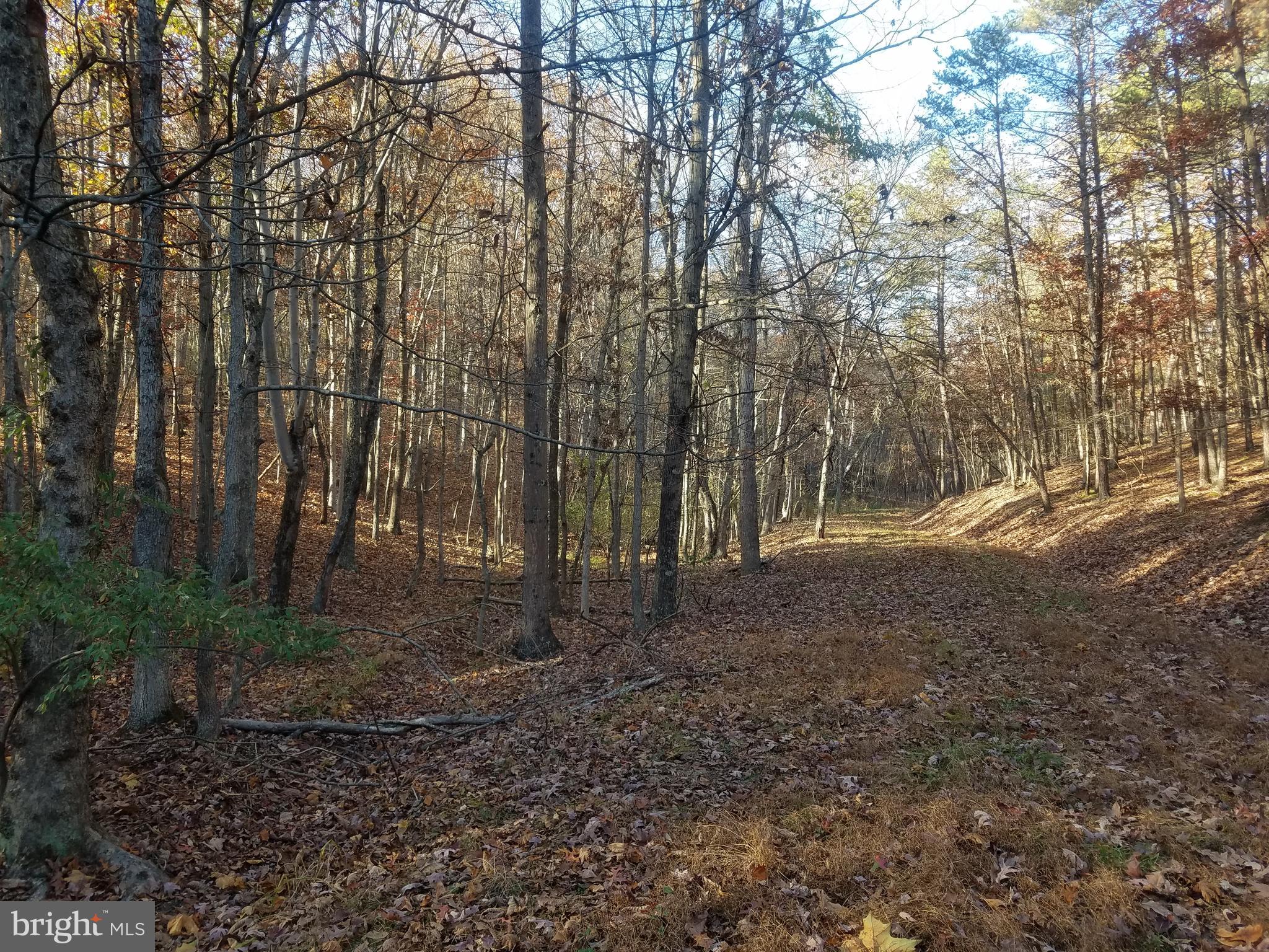 Turkey Hollow Road Romney, WV 26757 - Photo 13 of 21