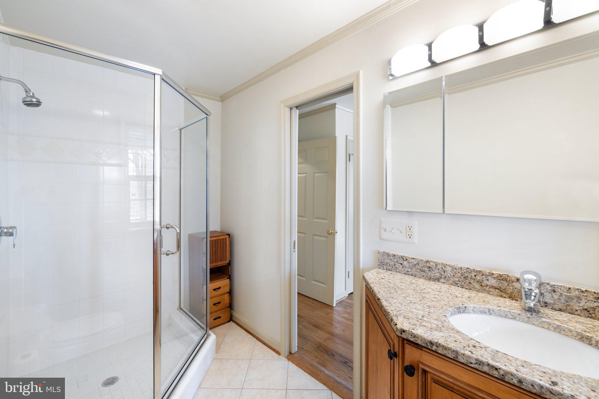 17970 Raven Rocks Road Bluemont, VA 20135 - Photo 40 of 78 a bathroom with a granite countertop sink a mirror and shower