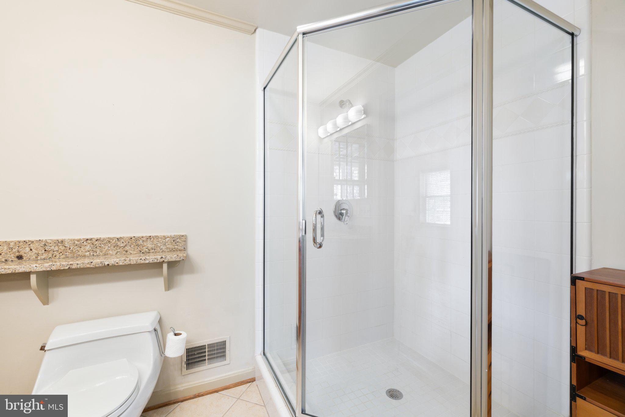 17970 Raven Rocks Road Bluemont, VA 20135 - Photo 41 of 78 a bathroom with a shower a toilet and a sink