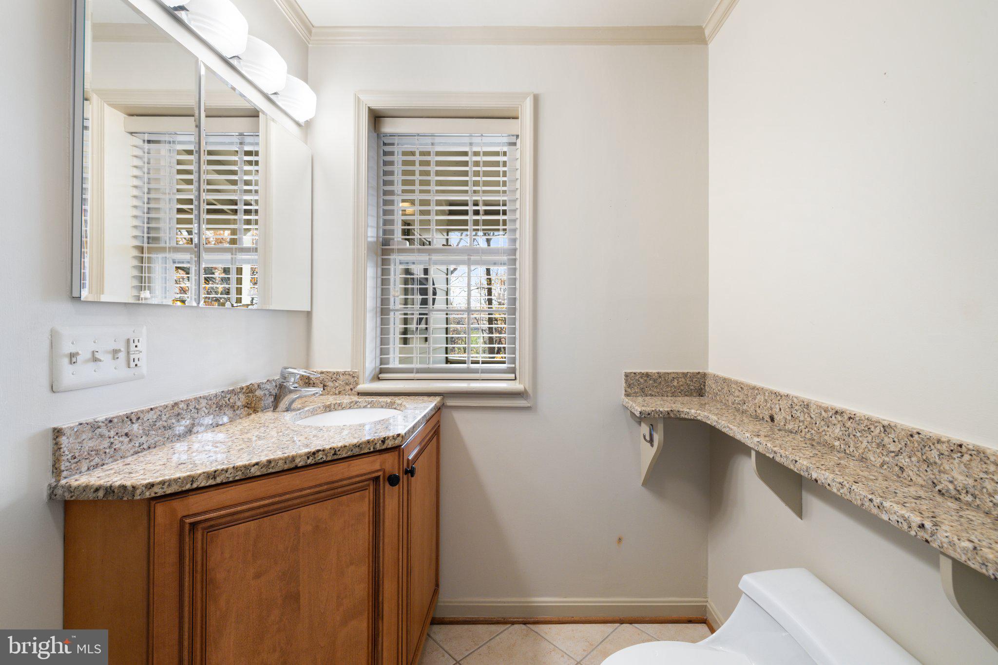 17970 Raven Rocks Road Bluemont, VA 20135 - Photo 42 of 78 a bathroom with a granite countertop sink and a window