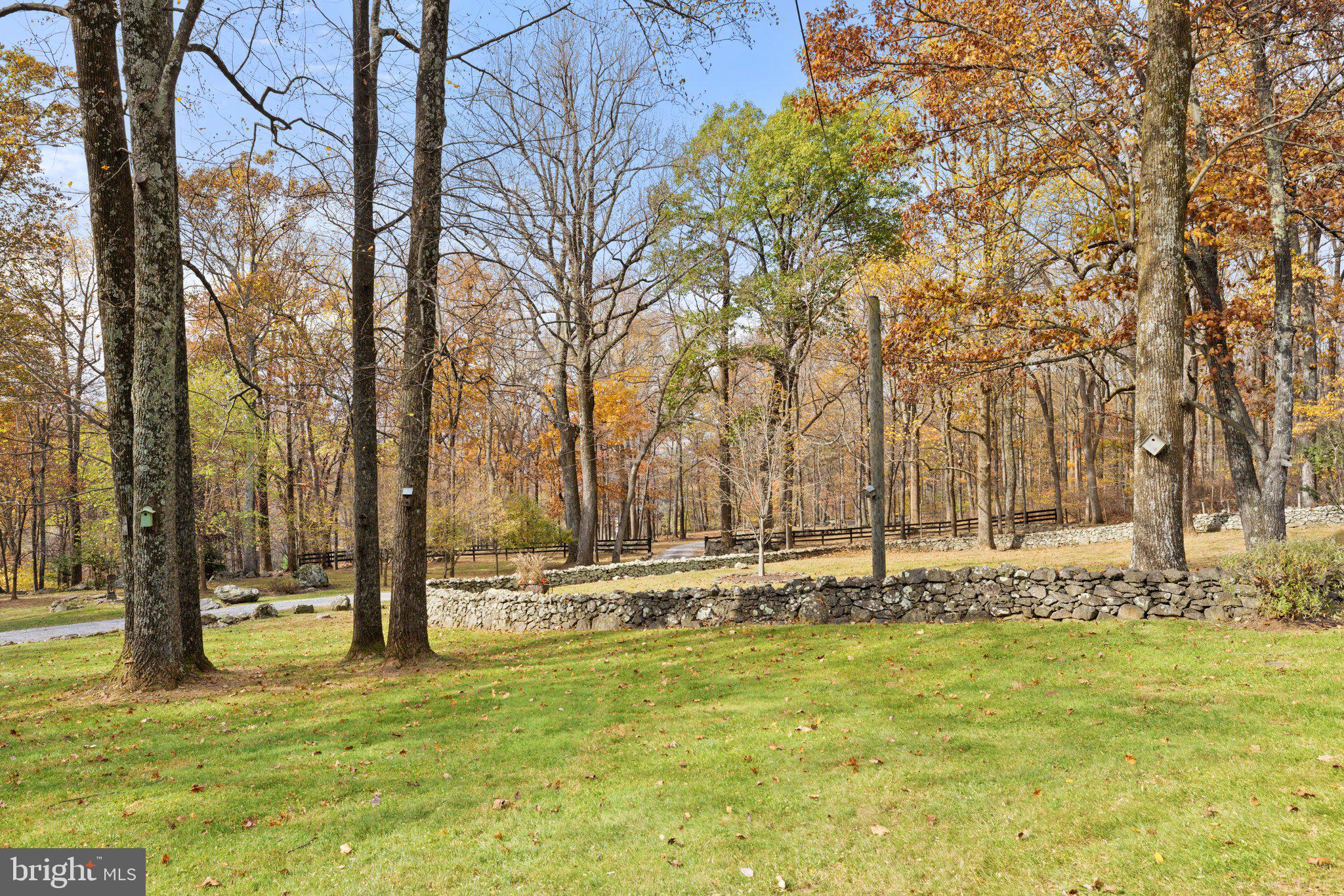 17970 Raven Rocks Road Bluemont, VA 20135 - Photo 55 of 78 a view of yard with tree