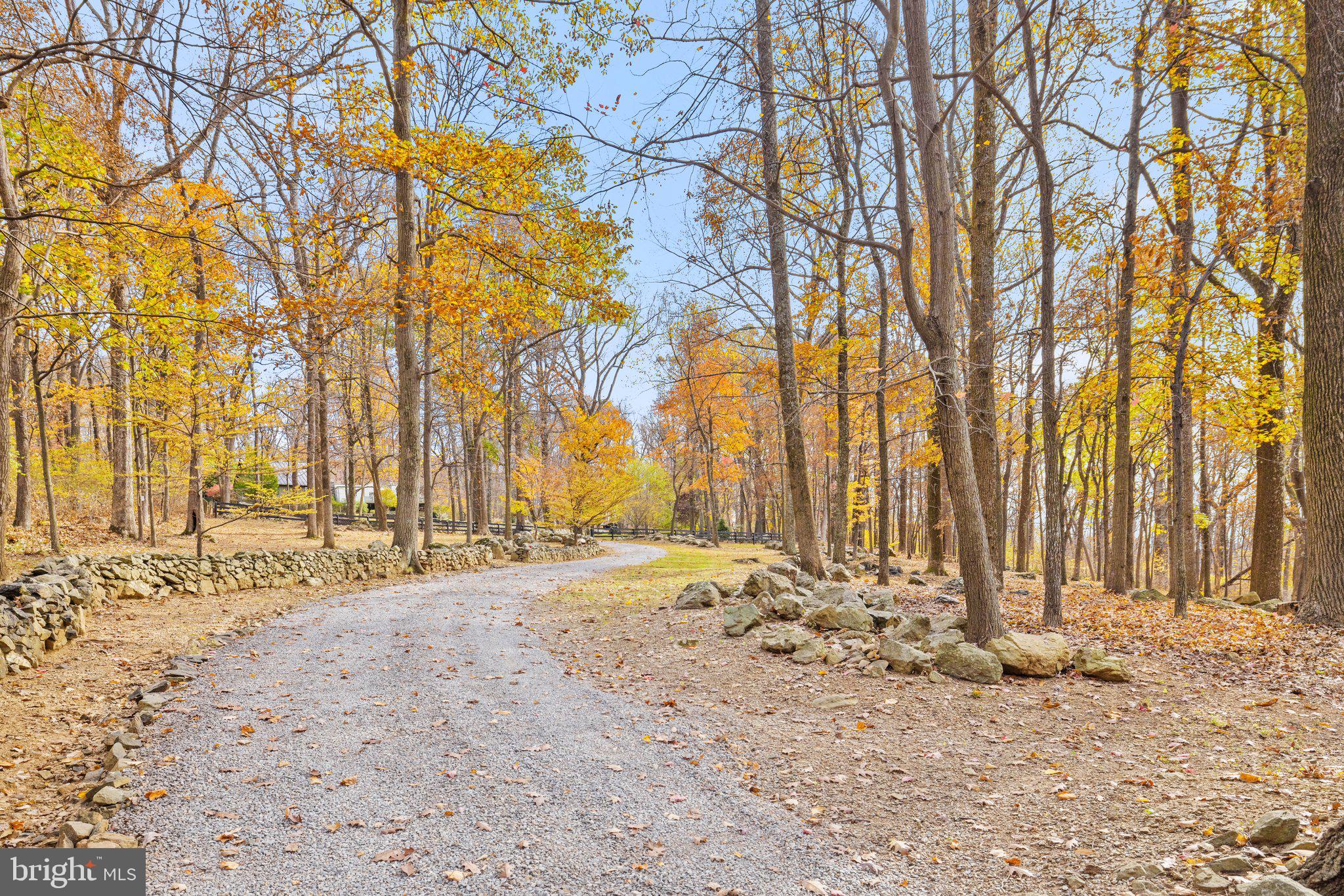 17970 Raven Rocks Road Bluemont, VA 20135 - Photo 59 of 78 Winding Drive