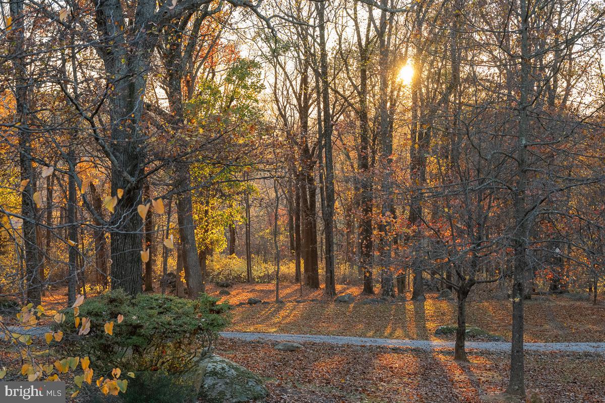 17970 Raven Rocks Road Bluemont, VA 20135 - Photo 69 of 78 End of Day