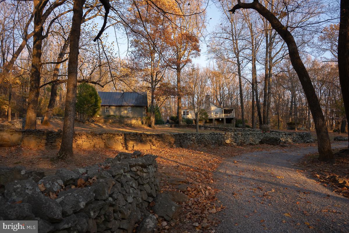 17970 Raven Rocks Road Bluemont, VA 20135 - Photo 76 of 78 a view of yard with trees