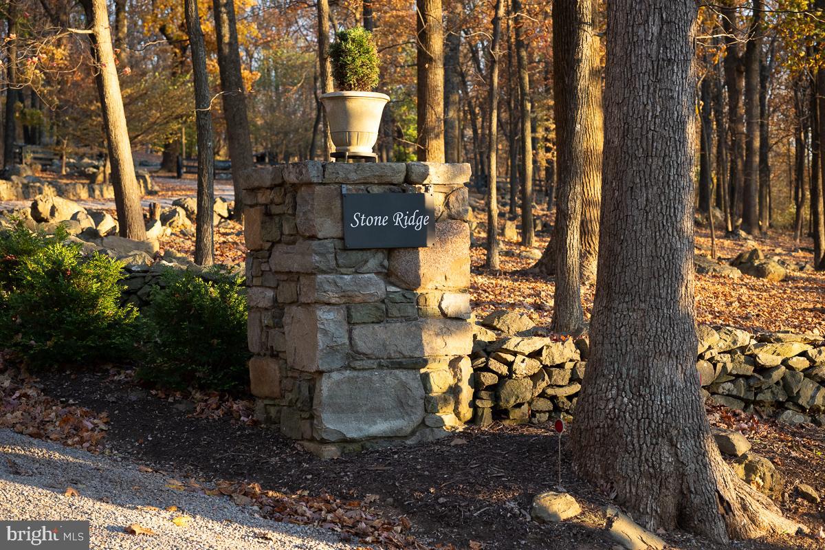 17970 Raven Rocks Road Bluemont, VA 20135 - Photo 78 of 78