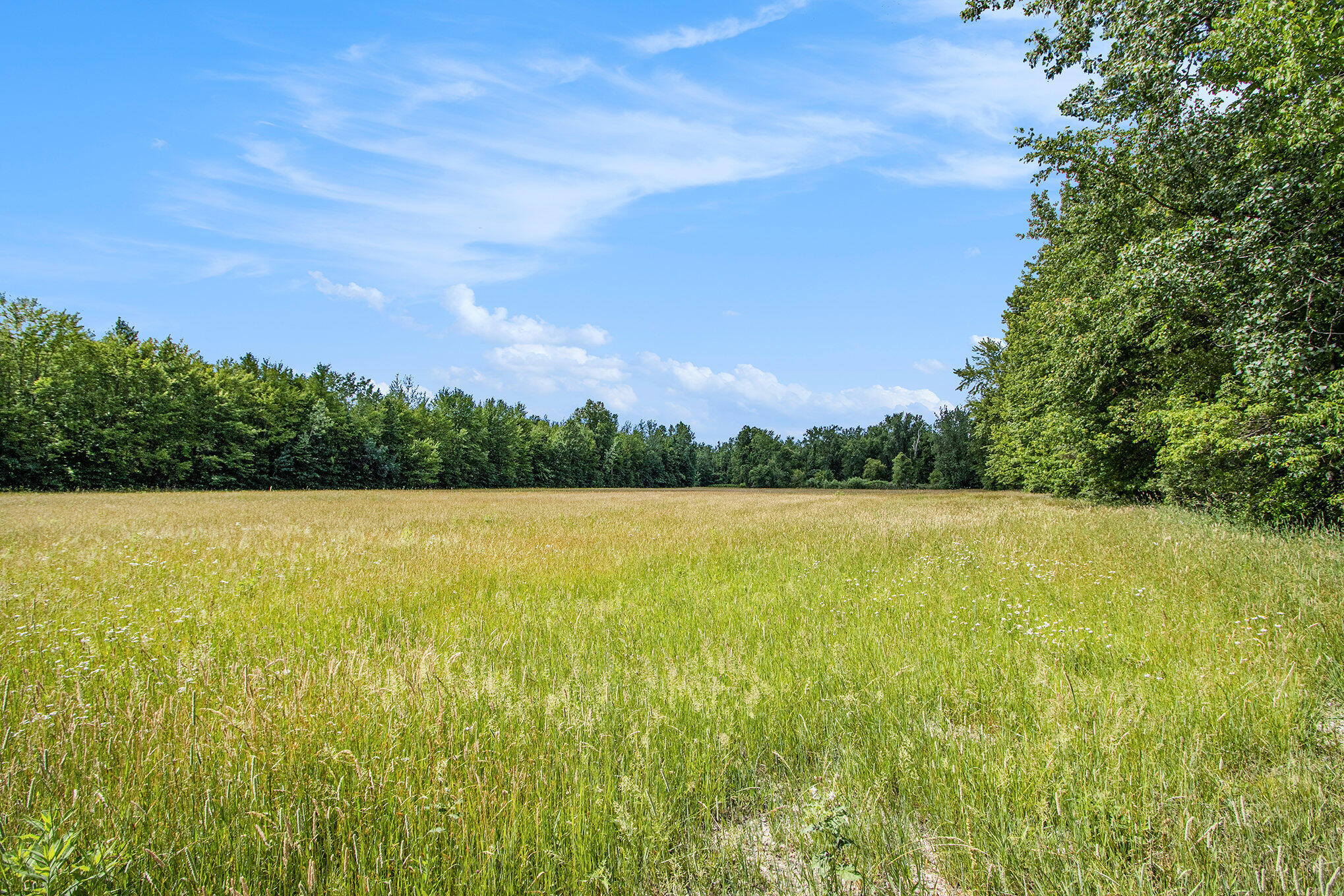 50th Street Bangor, MI 49013 - Photo 1 of 8 file_817