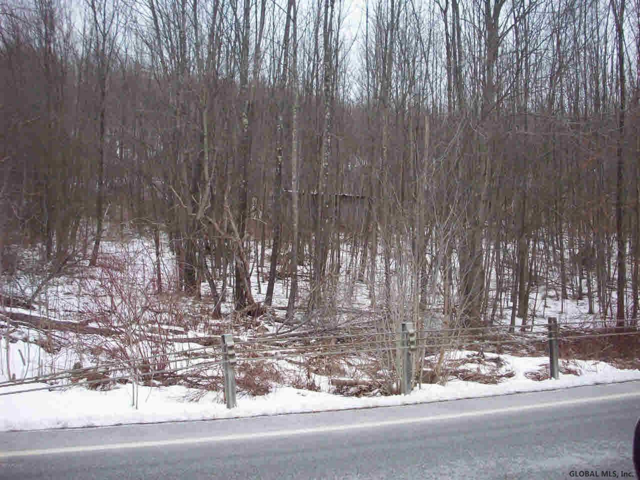 0 State Rte 22 Salem, NY 12865 - Photo 1 of 6 Photo 1