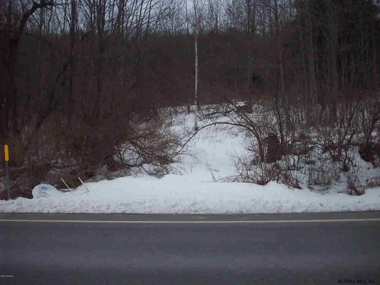 0 State Rte 22 Salem, NY 12865 - Photo 4 of 6 Photo 4