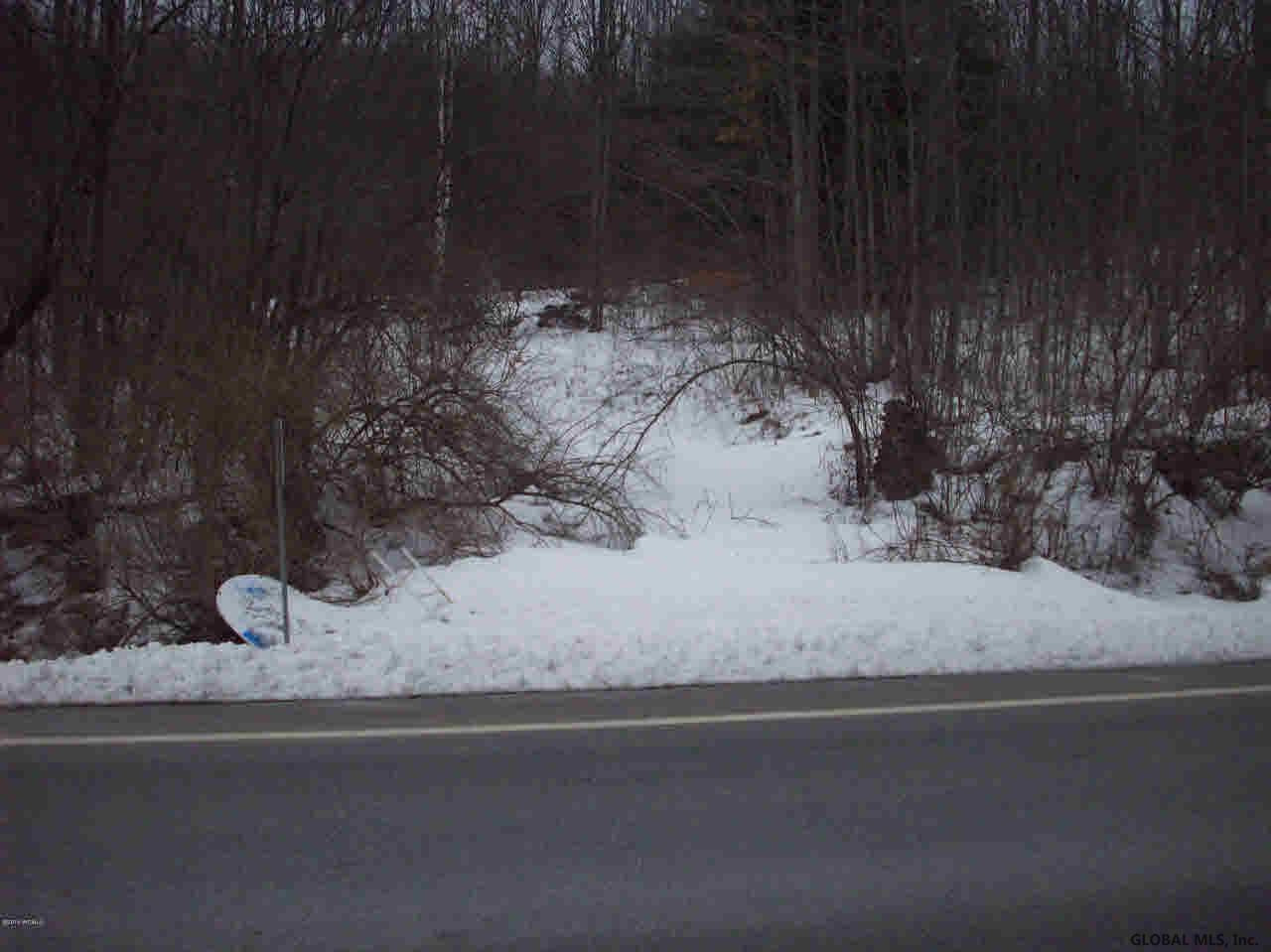 0 State Rte 22 Salem, NY 12865 - Photo 5 of 6 Photo 5