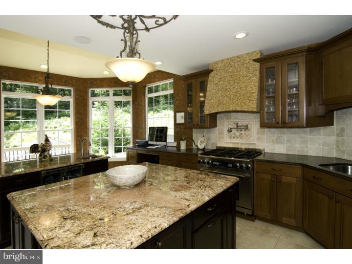 1976 Chestnut Hill Road Pottstown, PA 19465 - Photo 9 of 25 Kitchen