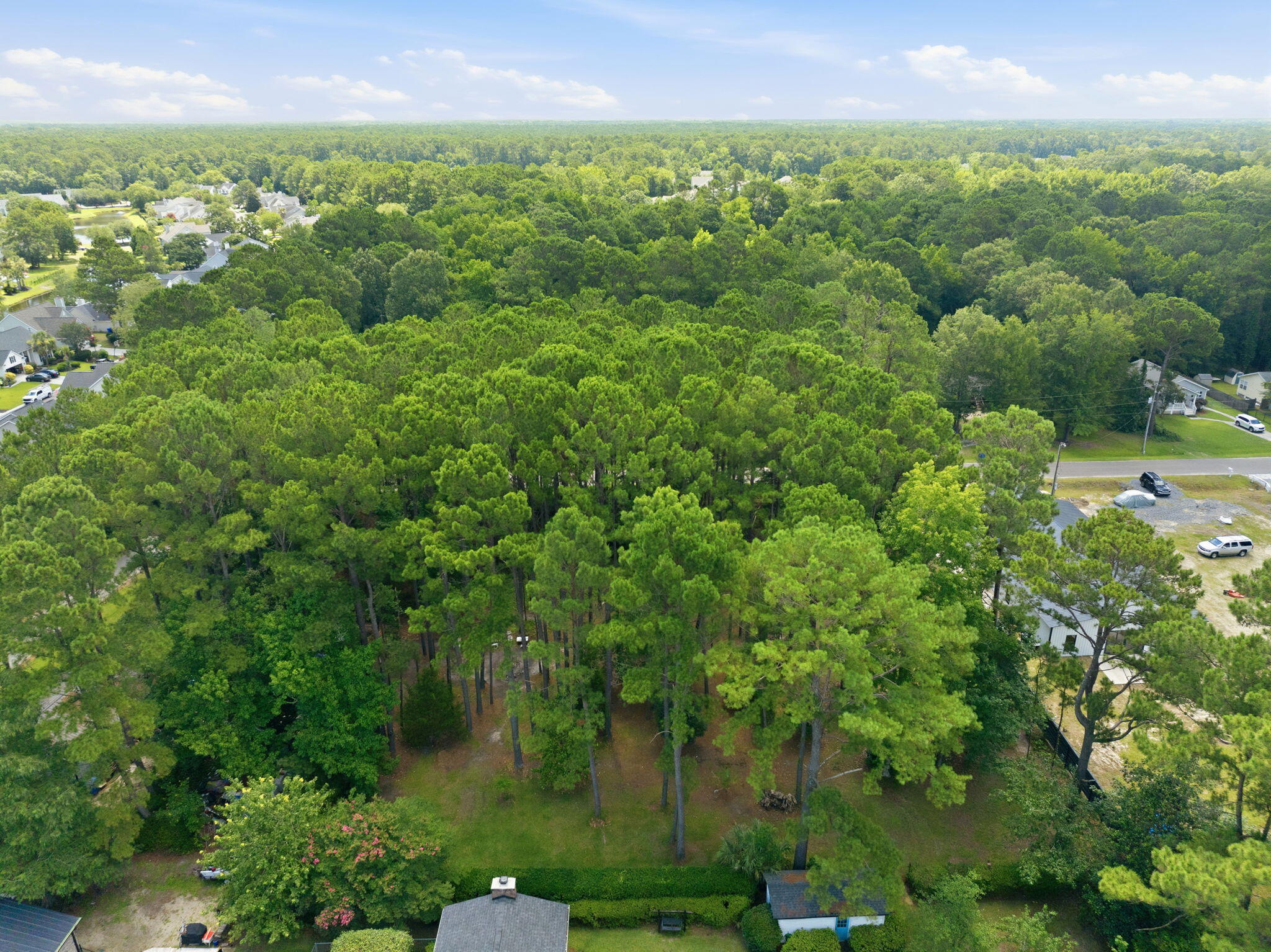 2981 Bennett Charles Road Mount Pleasant, SC 29466 - Photo 54 of 58 58-web-or-mls-DJI_0693 - edited