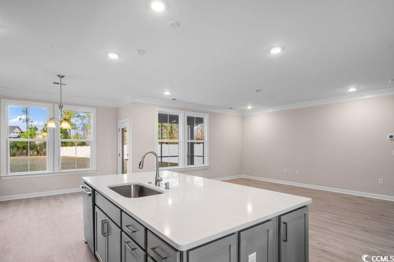 422 Starlit Way Myrtle Beach, SC 29579 - Photo 3 of 20