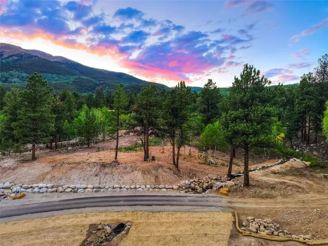 a view of a yard with an trees