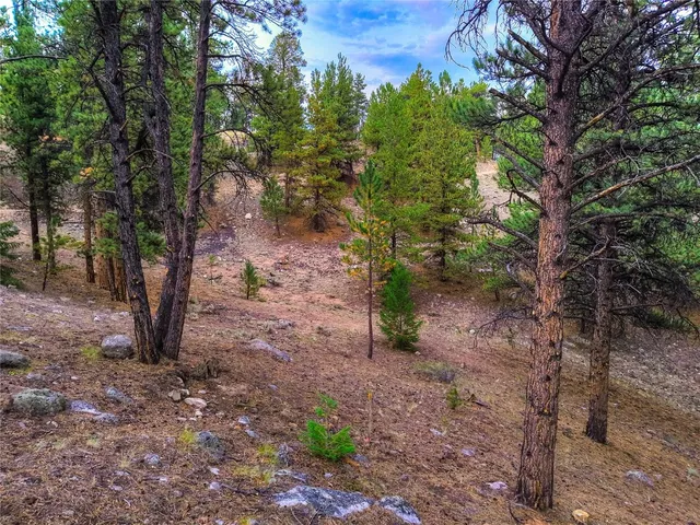 a view of a yard with plants and trees