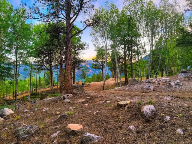 a view of a backyard with tree s