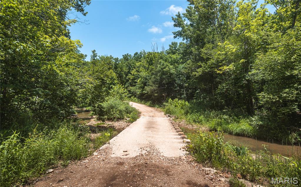 0 Czar Tower Road Steelville, MO 65565 - Photo 7 of 19