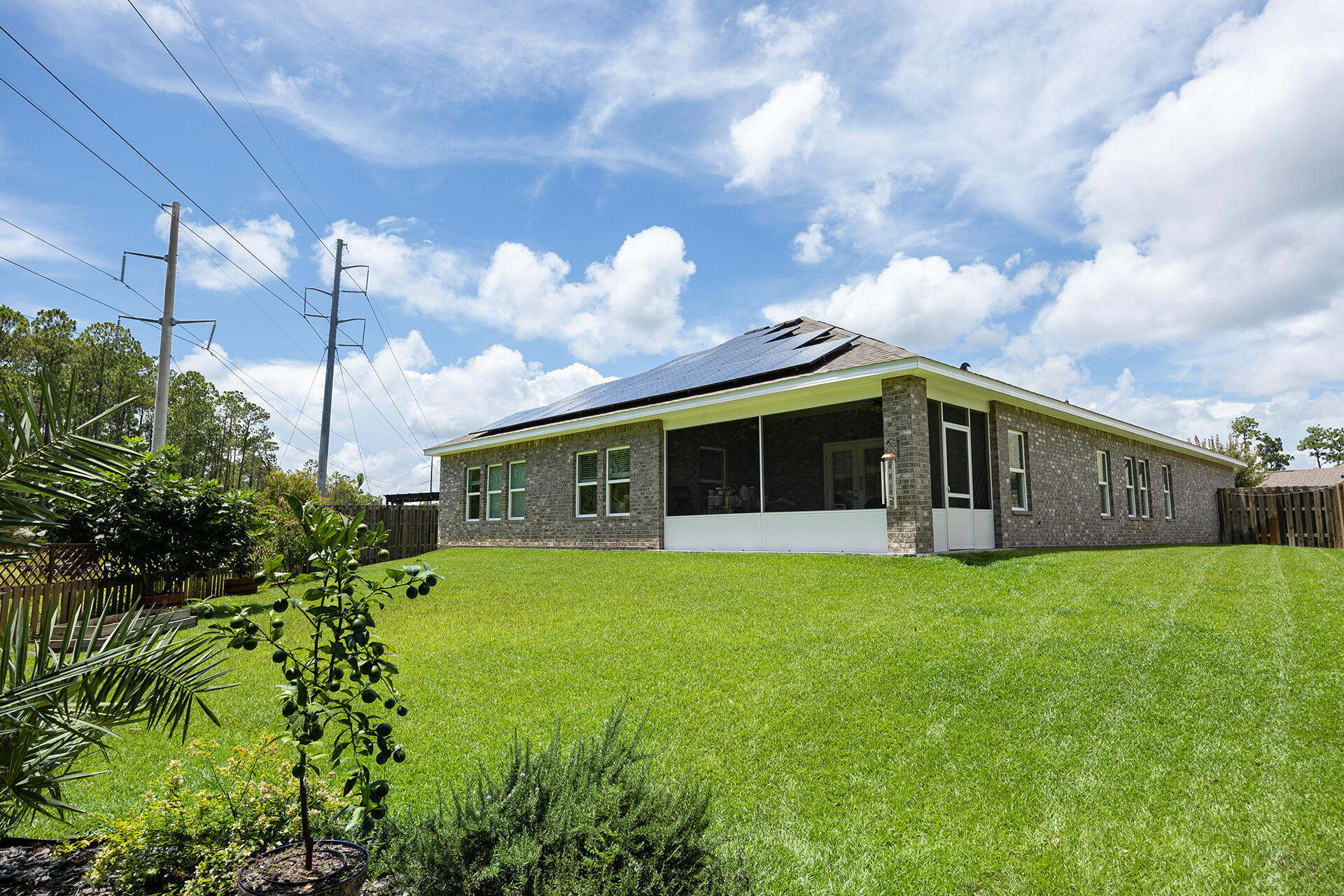 220 Conner Circle Santa Rosa Beach, FL 32459 - Photo 43 of 49 LUSH backyard