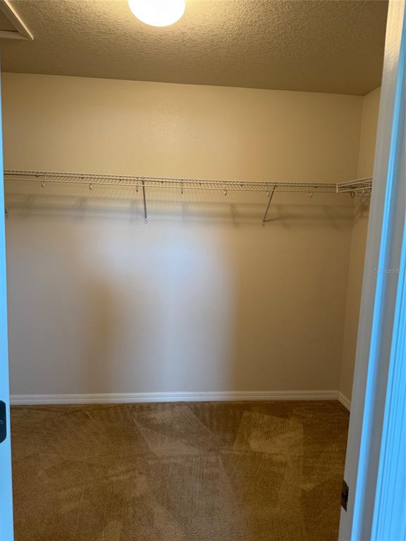 2821 Cypress Bowl Road Lutz, FL 33558 - Photo 21 of 46