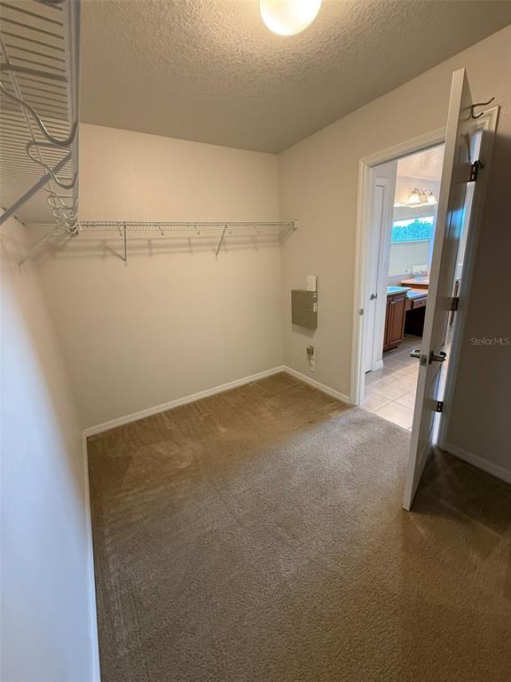 2821 Cypress Bowl Road Lutz, FL 33558 - Photo 29 of 57