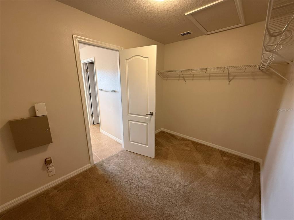 2821 Cypress Bowl Road Lutz, FL 33558 - Photo 30 of 57