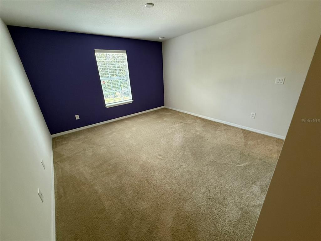 2821 Cypress Bowl Road Lutz, FL 33558 - Photo 36 of 46