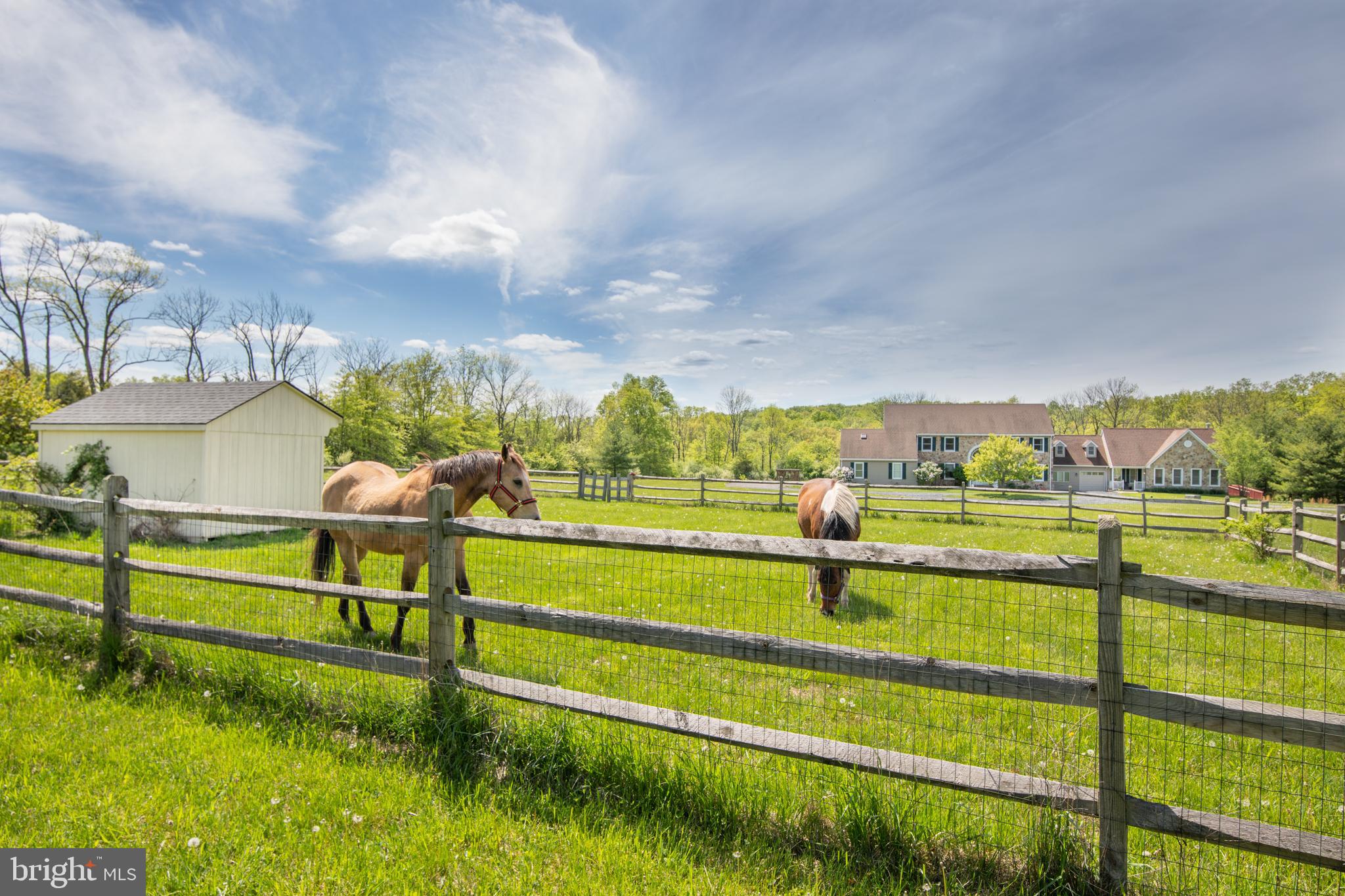 188 Keystone Road Quakertown, PA 18951 - Photo 3 of 44 Pasture For The Horses!