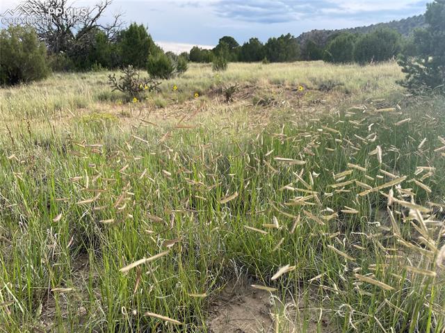 Lot #93 Rancho Verde Road Trinidad, CO 81082 - Photo 18 of 19 Gallery Image 18