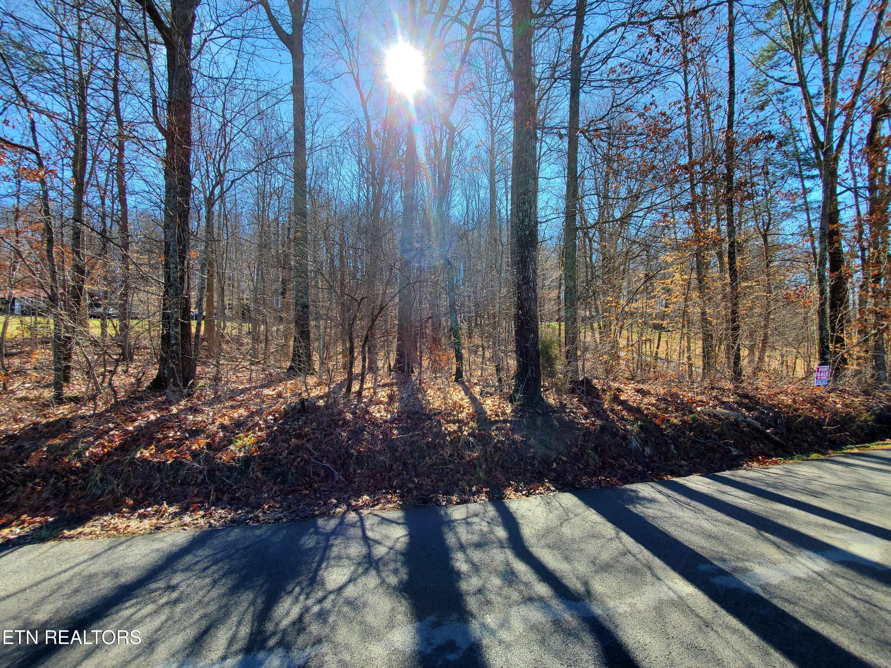 0 Lester Jarnigan Road Rutledge, TN 37861 - Photo 2 of 7 20260227_105517