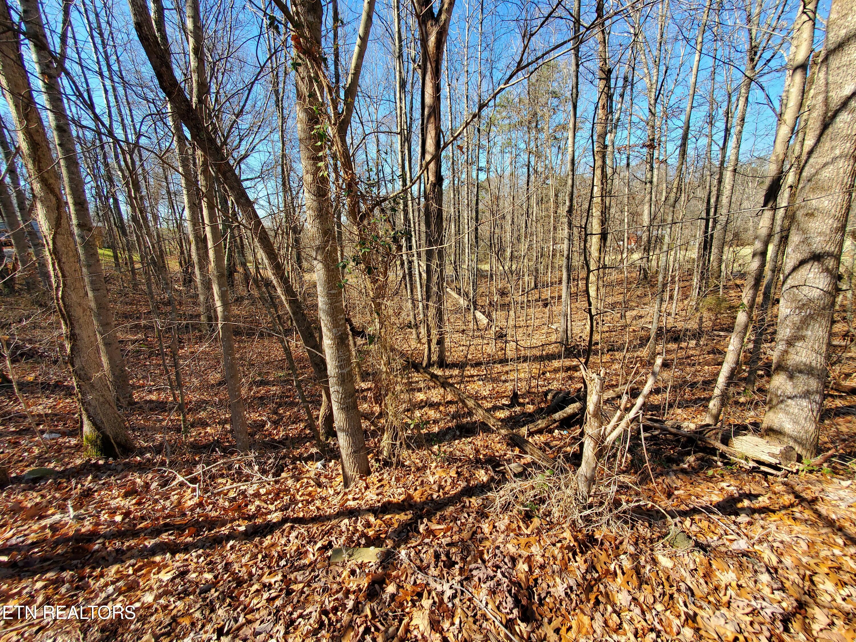 0 Lester Jarnigan Road Rutledge, TN 37861 - Photo 4 of 7 20260227_105734