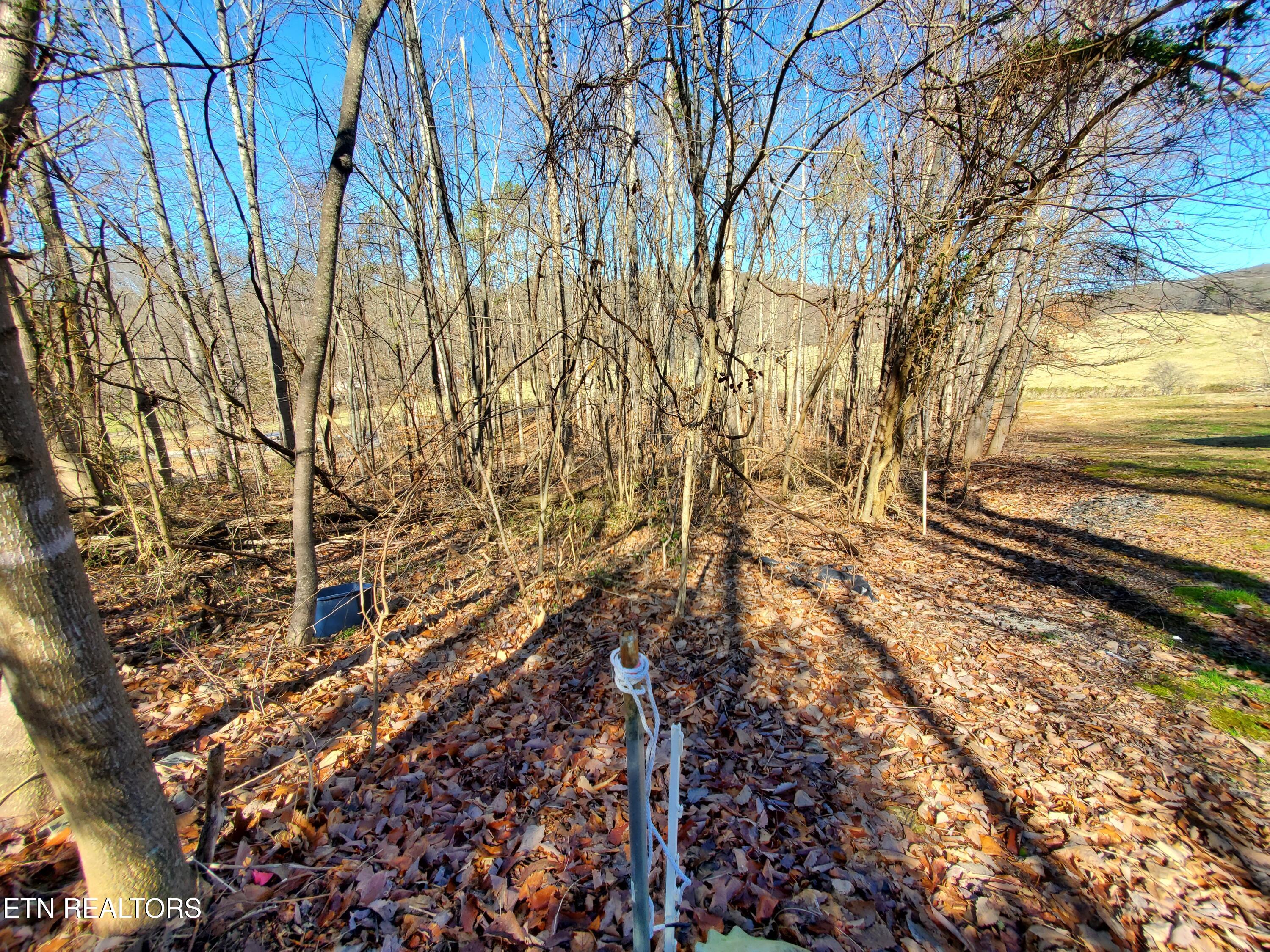0 Lester Jarnigan Road Rutledge, TN 37861 - Photo 5 of 7 20260227_105834