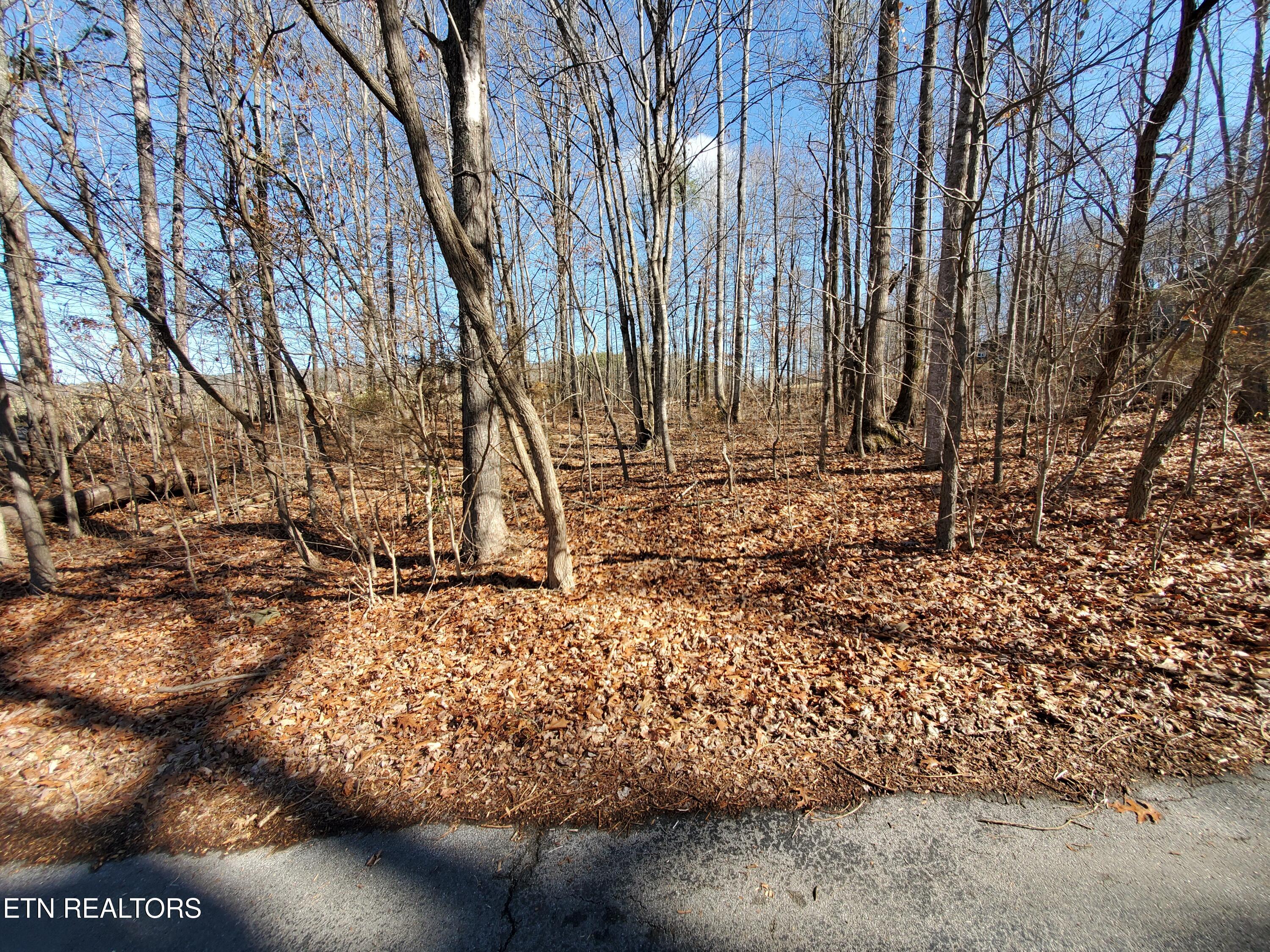 0 Lester Jarnigan Road Rutledge, TN 37861 - Photo 6 of 7 20260227_110021