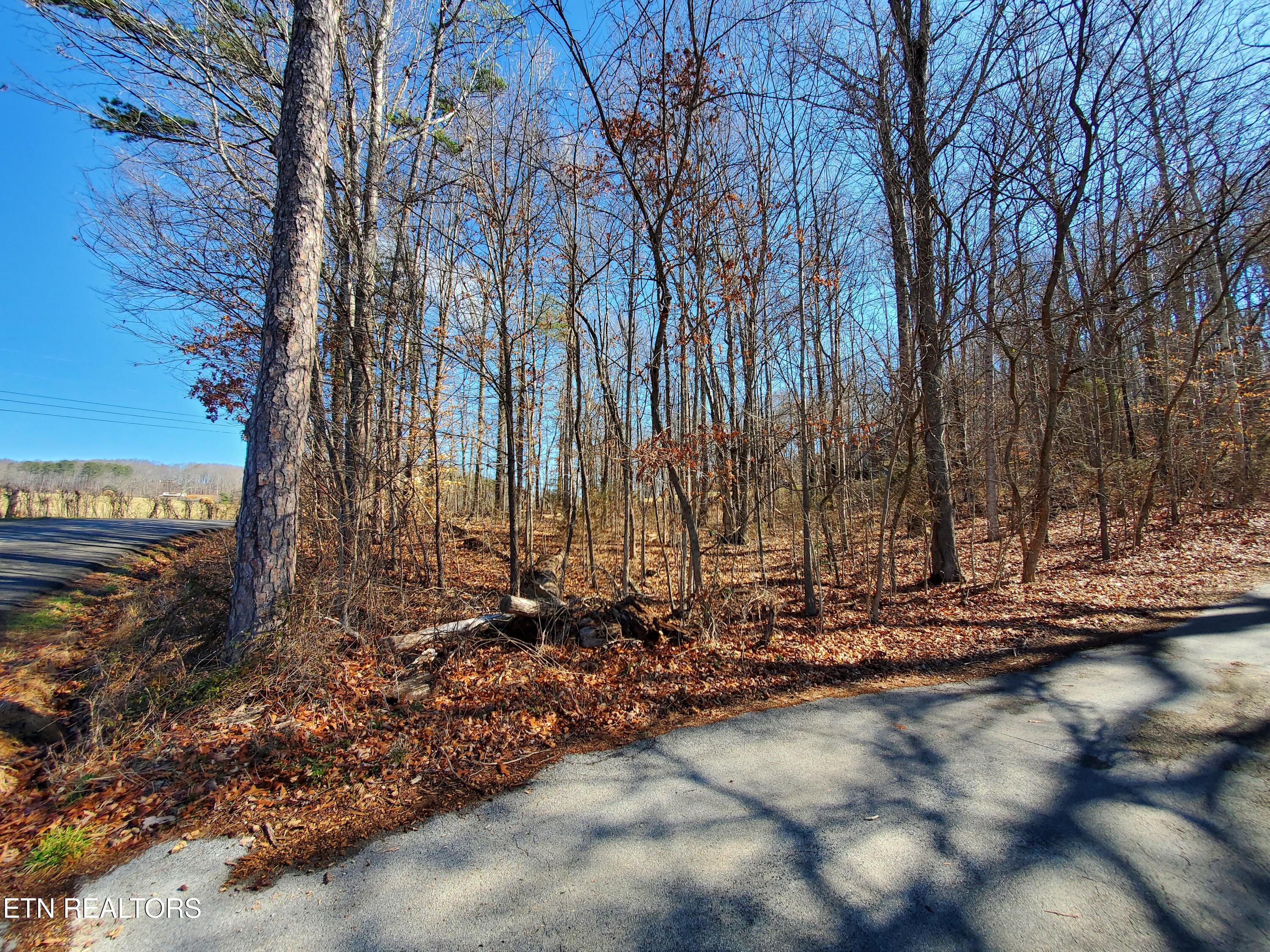 0 Lester Jarnigan Road Rutledge, TN 37861 - Photo 7 of 7 20260227_110048