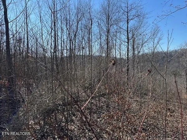 $46,500 | Dooley Hollow Road, Ewing, VA 24248