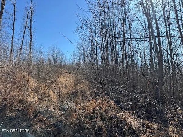 $46,500 | Dooley Hollow Road, Ewing, VA 24248