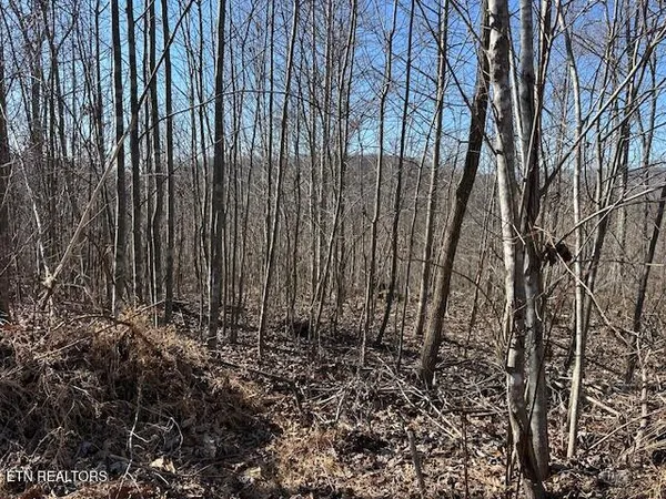 $46,500 | Dooley Hollow Road, Ewing, VA 24248
