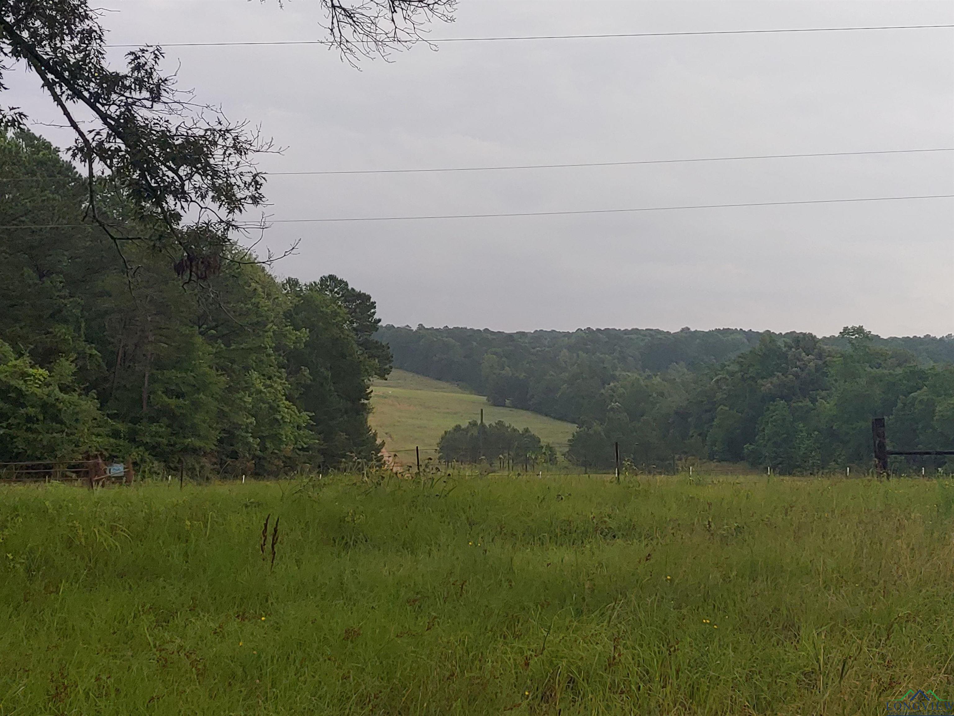 1101 Fire Tower Road Hallsville, TX 75650 - Photo 2 of 5 Gallery Image 2