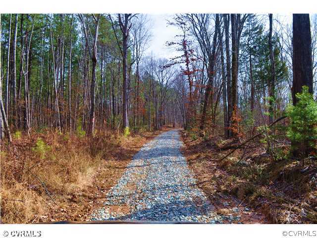 0 Pleasants Road Powhatan, VA 23139 - Photo 2 of 2 a view of backyard with tree