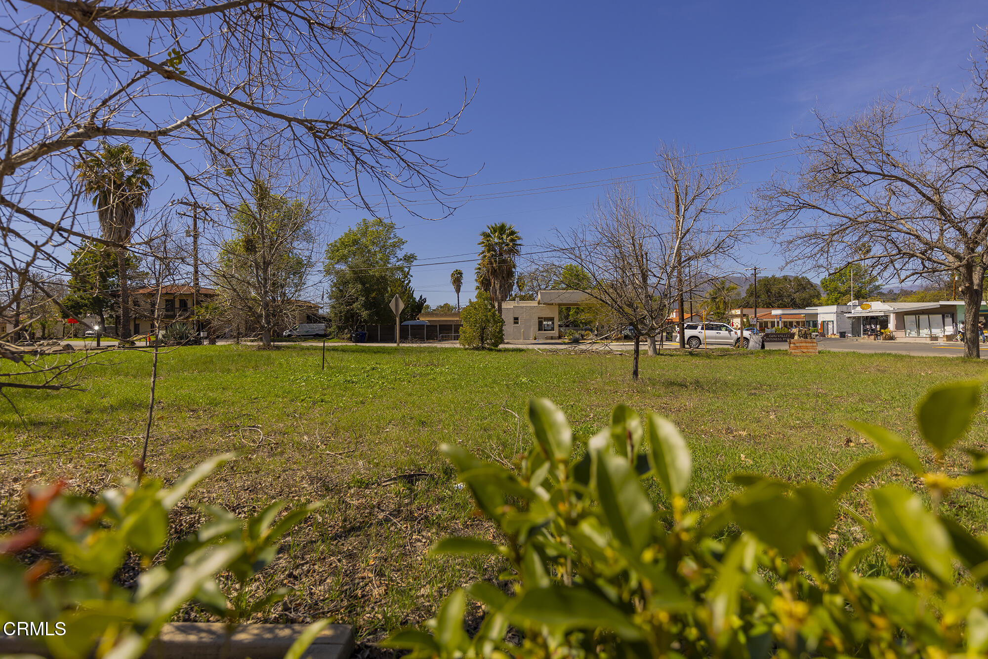 0 Bryant Street Ojai, CA 93023 - Photo 11 of 35 a view of yard with swimming pool and green space